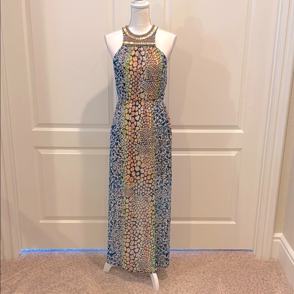 Charlie Jade Print Maxi Dress